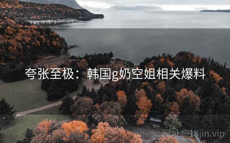 夸张至极：韩国g奶空姐相关爆料