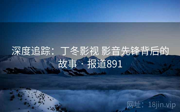 深度追踪：丁冬影视 影音先锋背后的故事 · 报道891