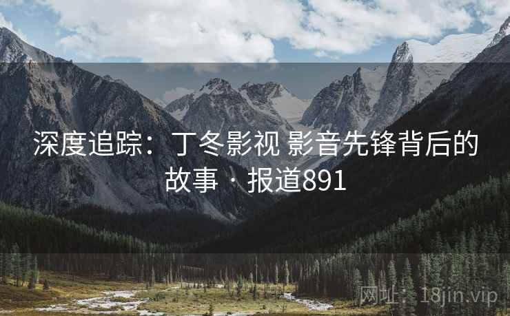 深度追踪：丁冬影视 影音先锋背后的故事 · 报道891